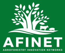 AFINET logó