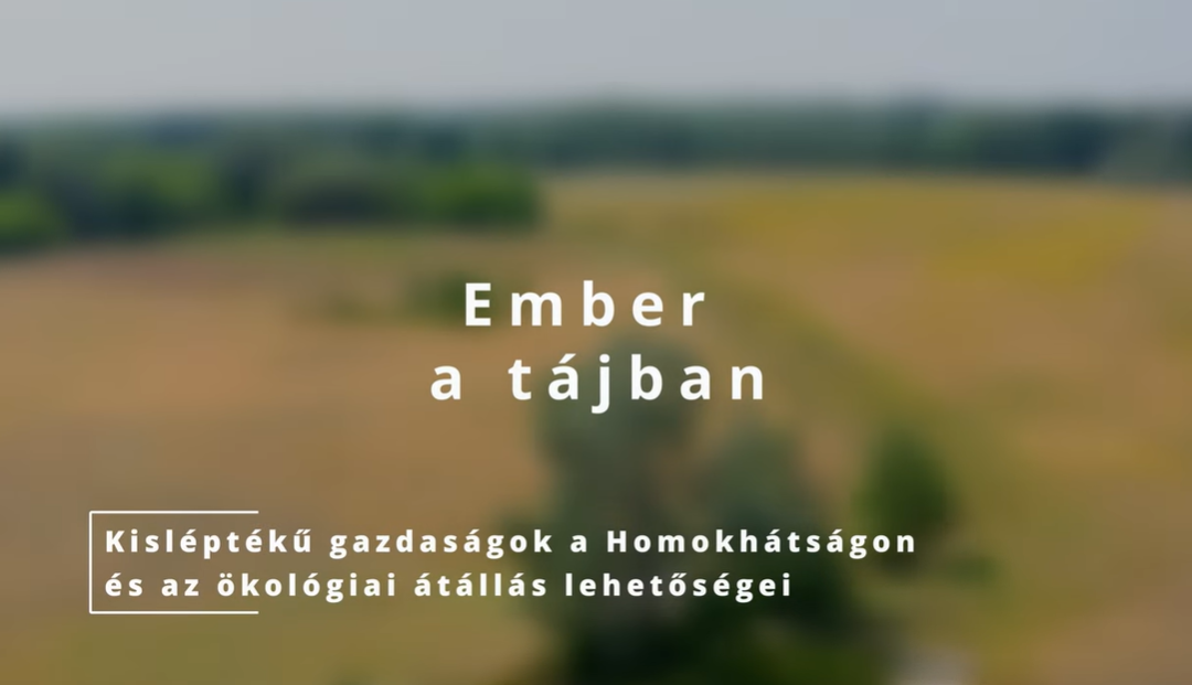 Ember a tájban I.