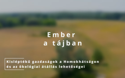 Ember a tájban I.
