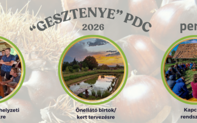 MAPER PDC 2026 Gesztenye