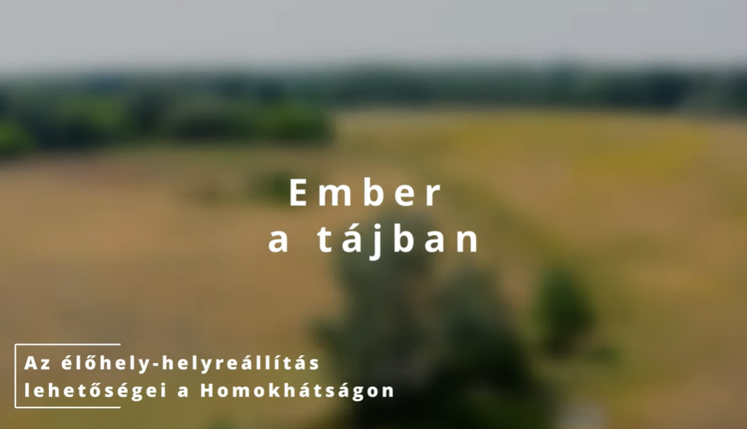 Ember a tájban II.