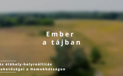 Ember a tájban II.