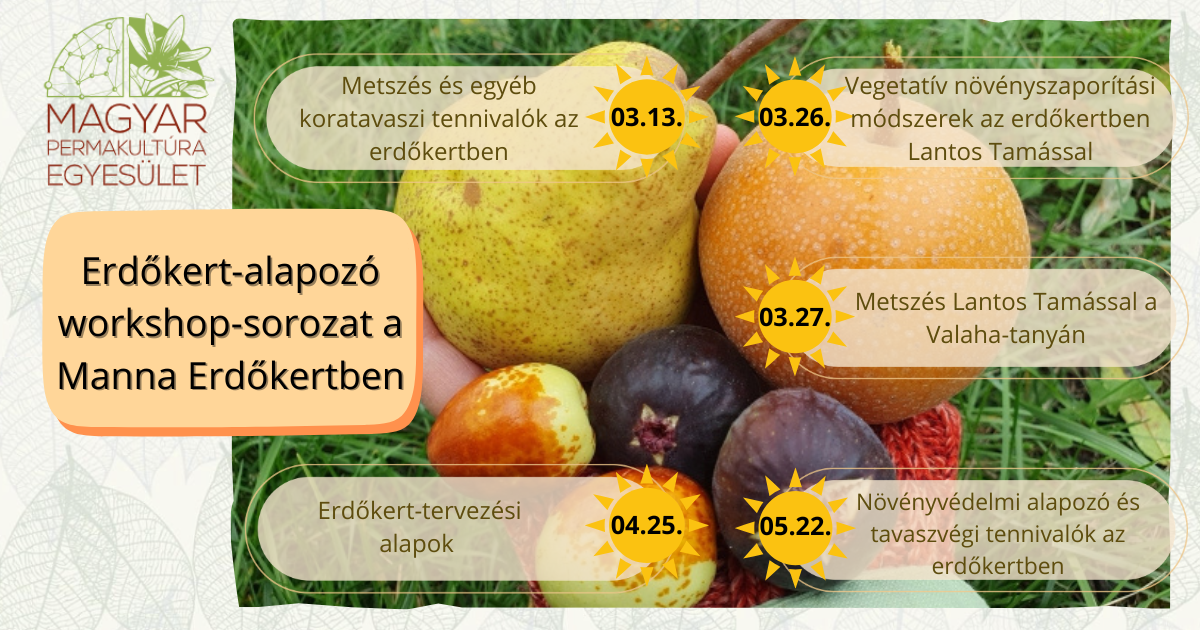 permakultúra képzés technika kertészet agrárerdészet, erdőkert