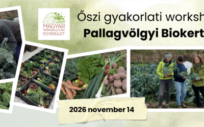 Pallagvölgyi Biokert workshop